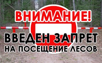 ЧС в лесах на территории Ширинского сельсовета